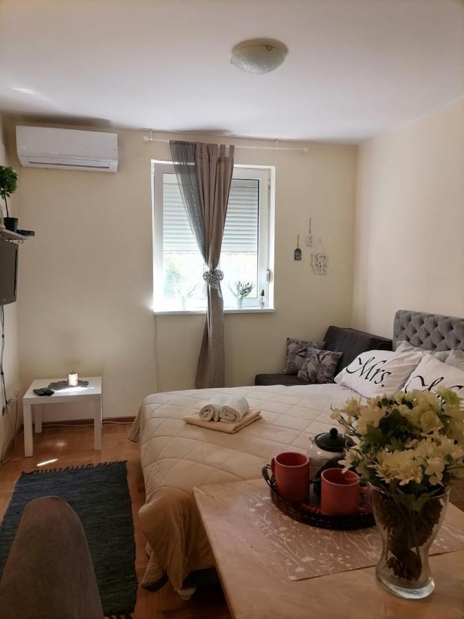 Studio Dunja Vrnjačka Banja Екстериор снимка