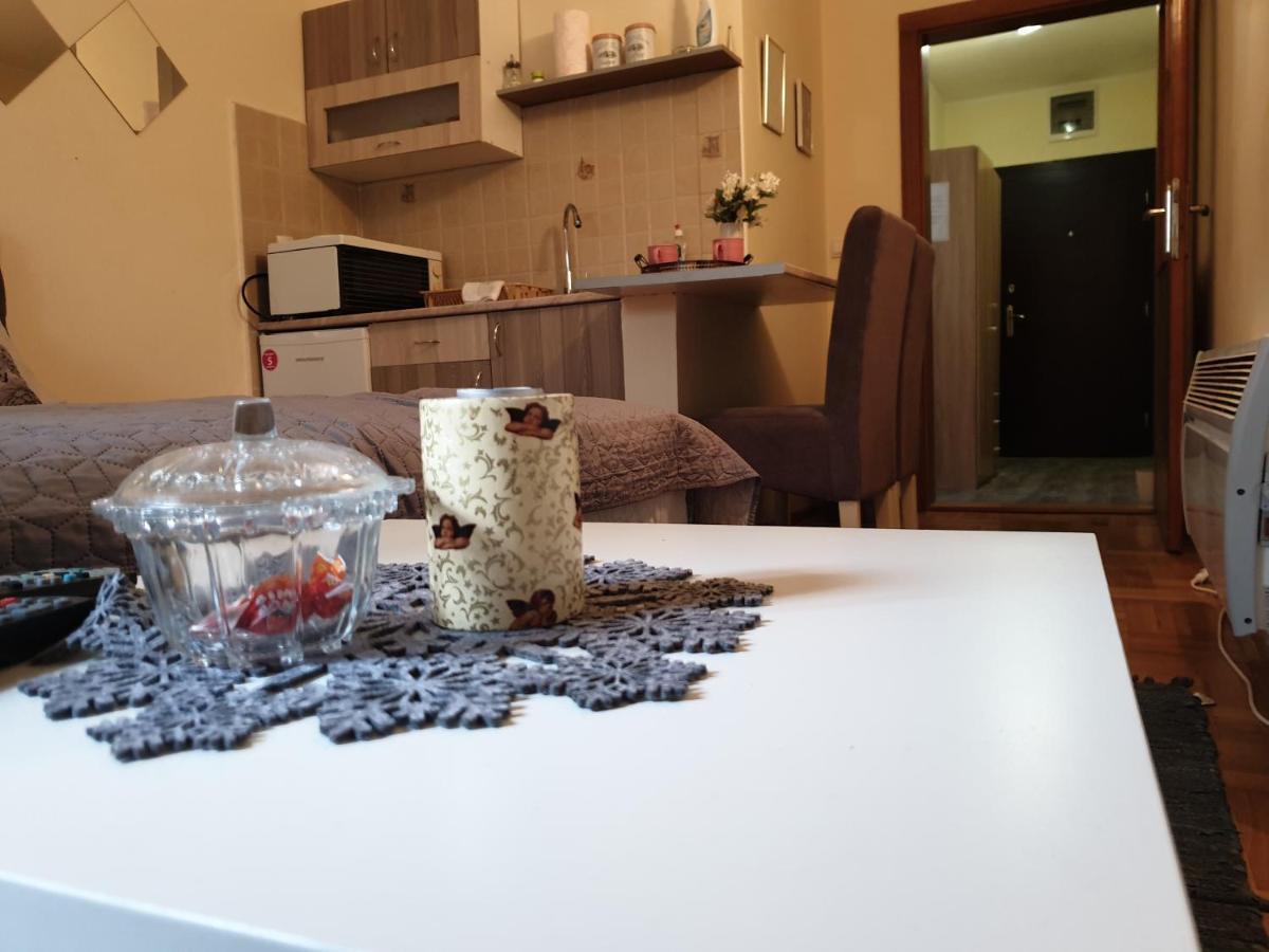 Studio Dunja Vrnjačka Banja Екстериор снимка