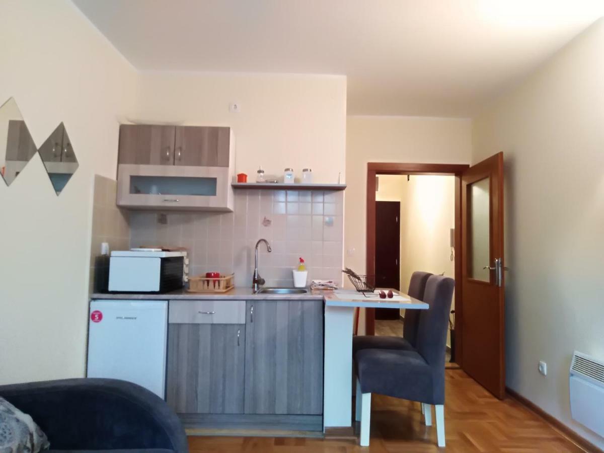 Studio Dunja Vrnjačka Banja Екстериор снимка